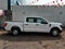 2023 Ford F-150 4P XL CREW CAB 4X2 V63.3 AUT