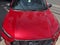 2023 Ford ESCAPE 5P ST LINE HEV L42.5 AUT