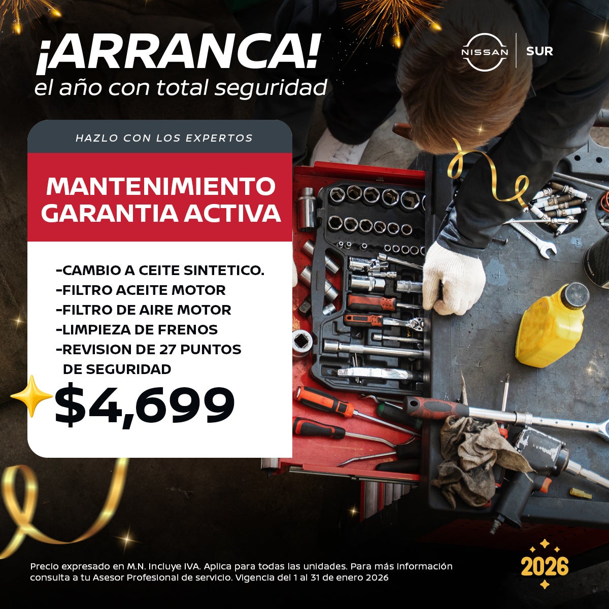 MANTENIMIENTO GARANTIA ACTIVA